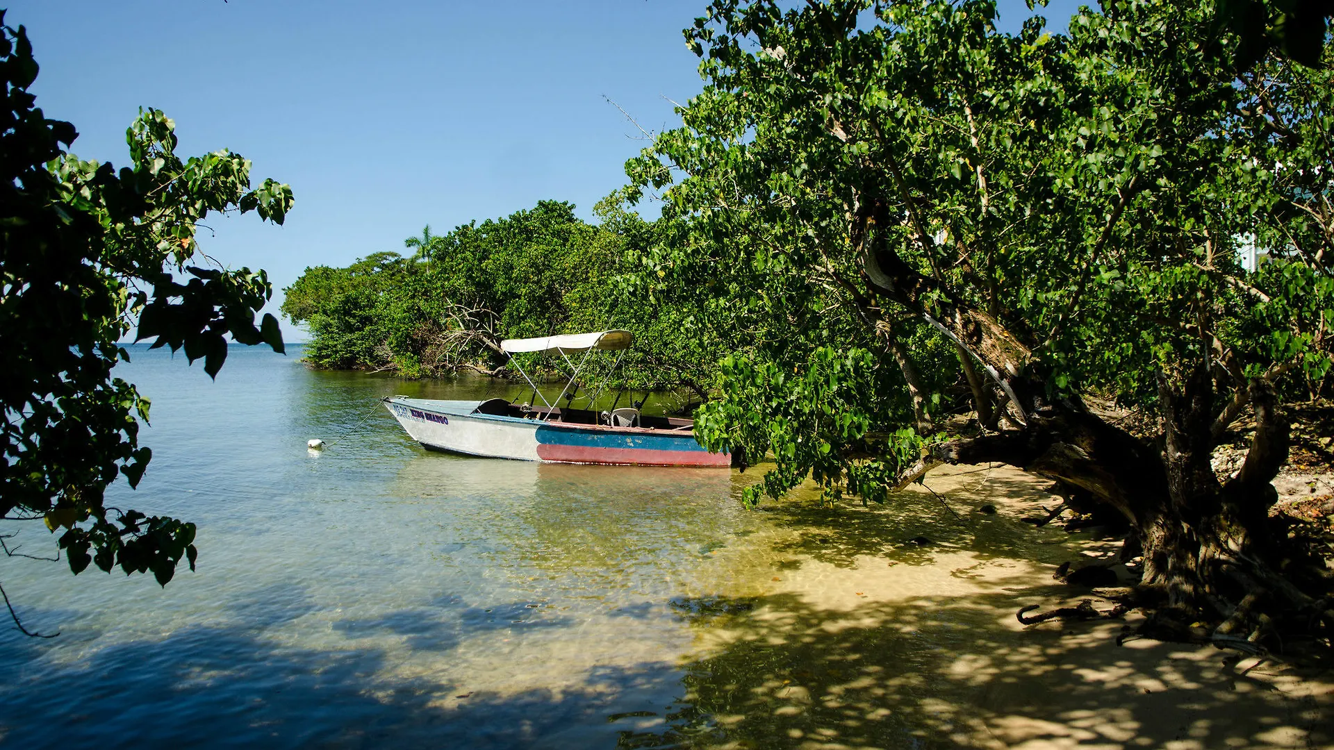 Appartamento Seas The Day Sanctuary Negril