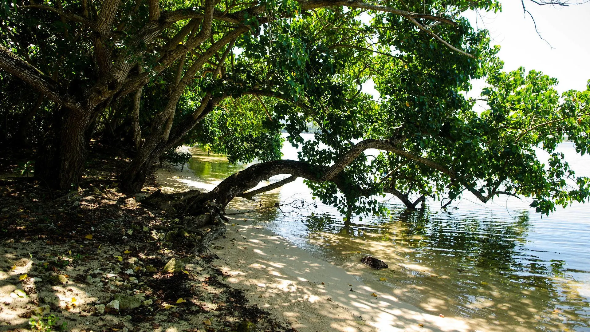 Seas The Day Sanctuary location