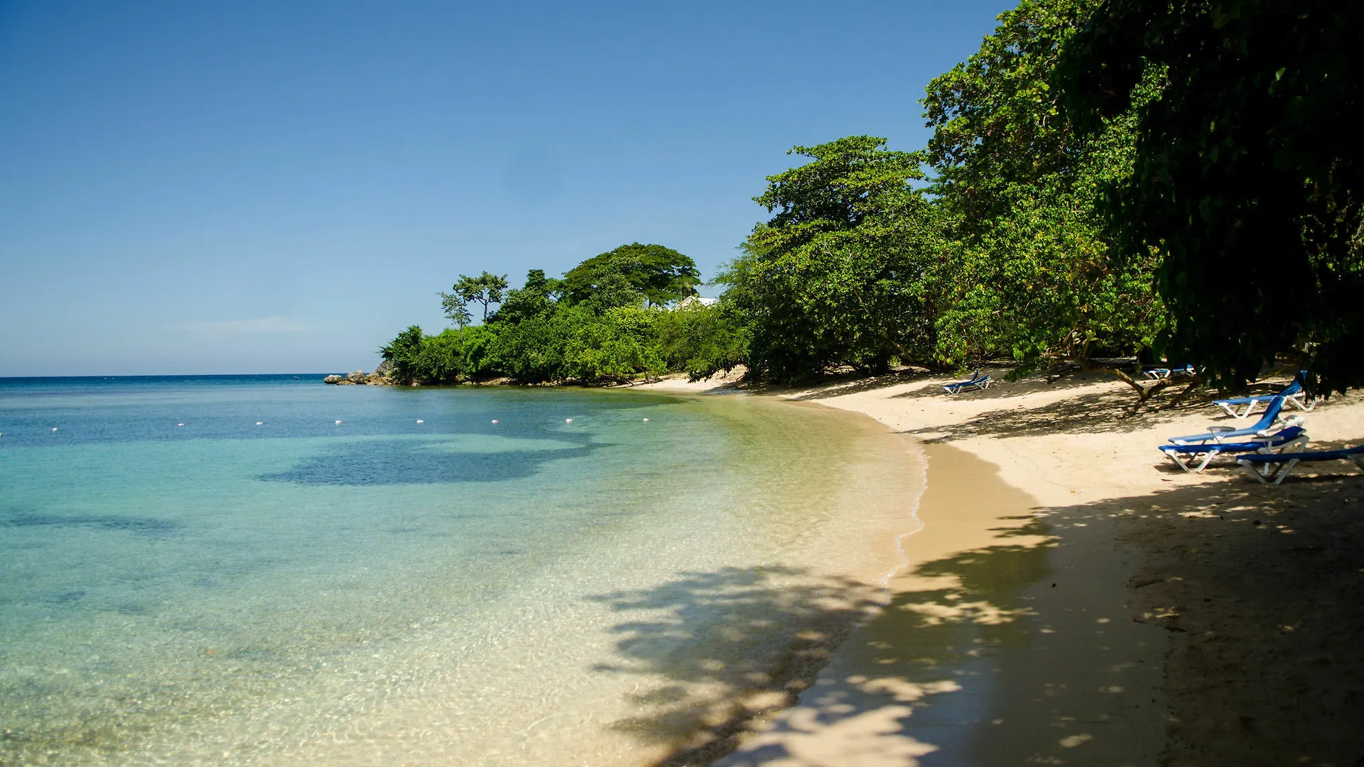 Seas The Day Sanctuary Apartment Negril